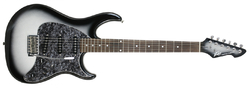 Peavey Raptor Custom