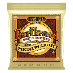 Ernie Ball Earthwood 2003