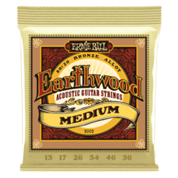 Ernie Ball Earthwood 2002