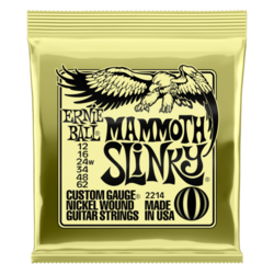 Ernie Ball 2214