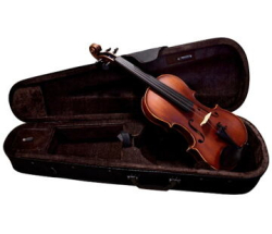 Dowina housle 1/8 komplet