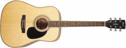 Cort AD 880 NS