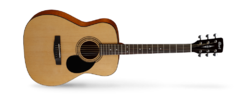 Cort AF 510 BKS