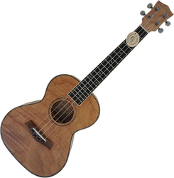 Aiersi 506 N